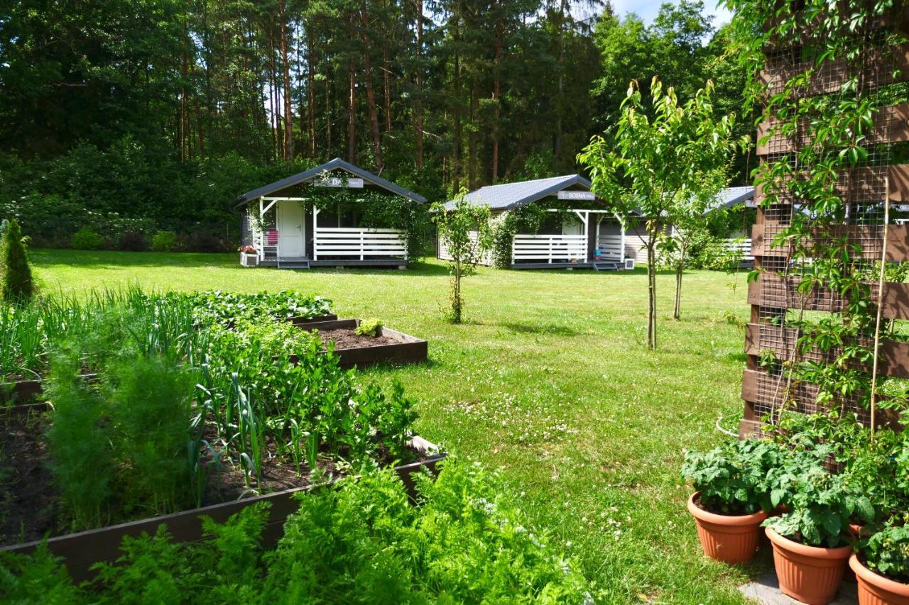 Villa Przylesie21 Ustka Exterior foto